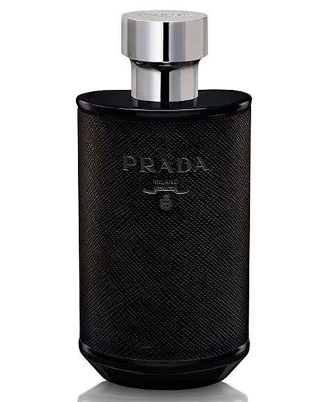 prada homme intense macys|Prada male fragrance.